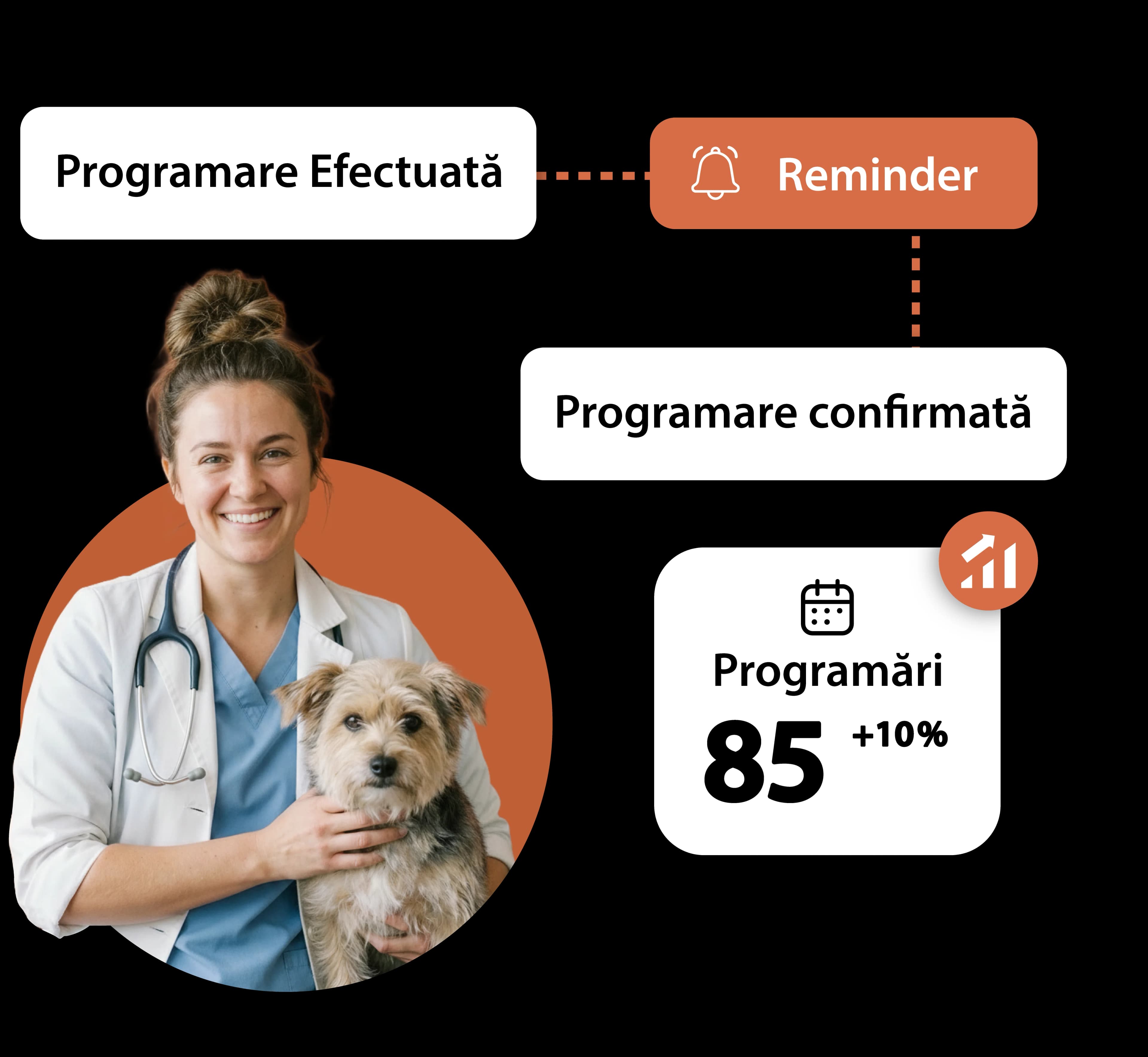 Instant notifications for veterinary practice