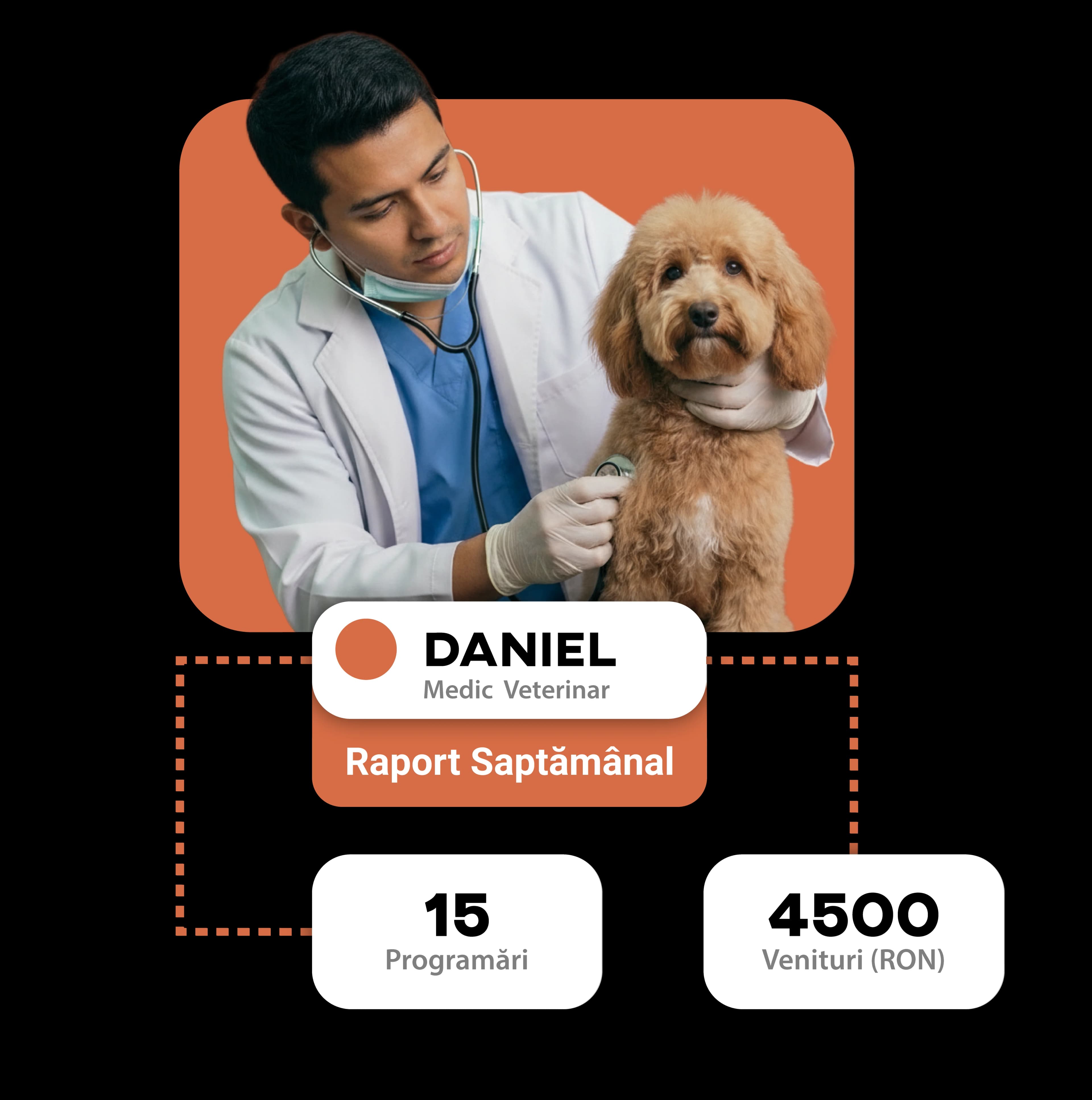 Patient and owner statistics