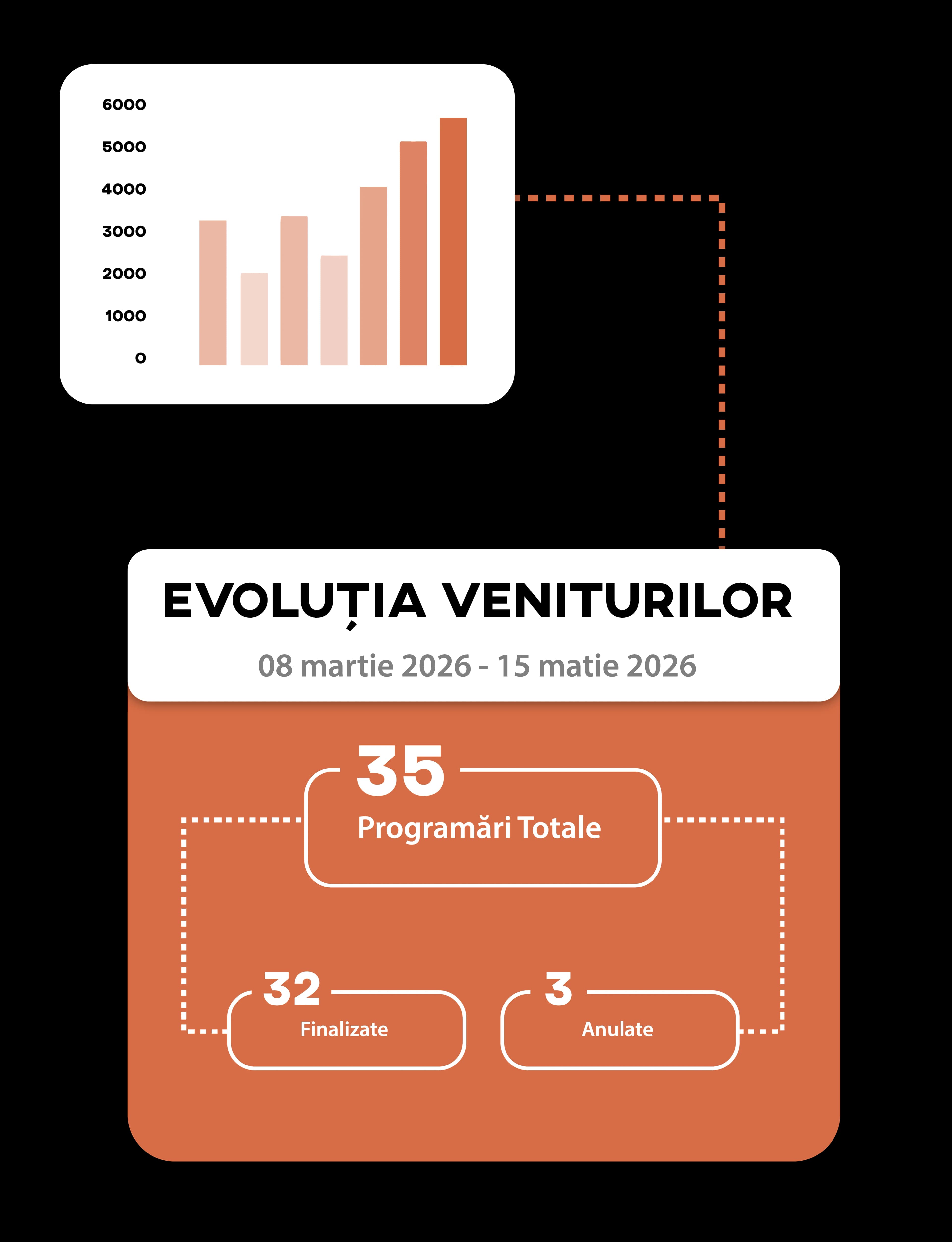 Full dashboard for veterinary practice