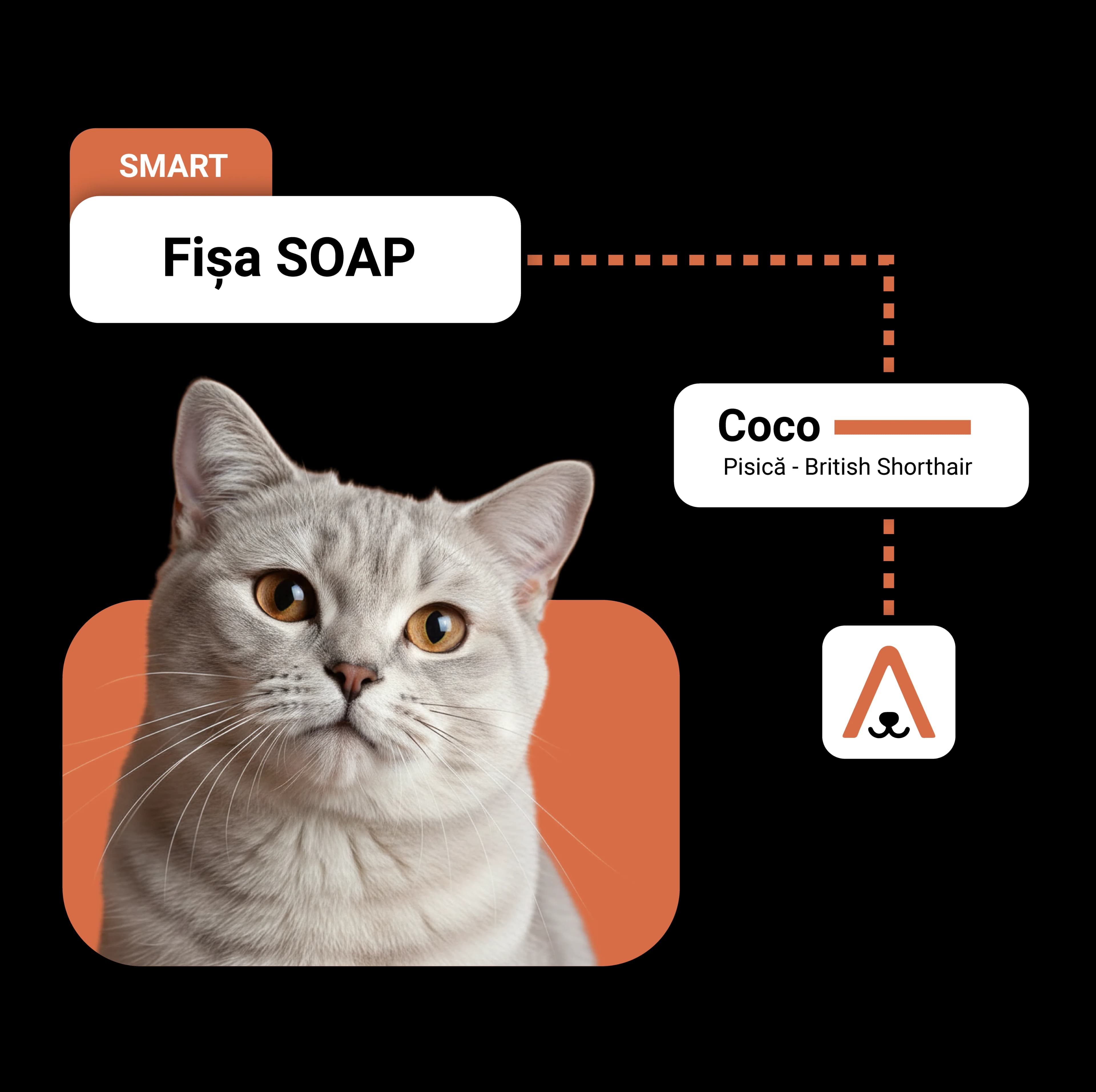 Digital SOAP notes for veterinary practice