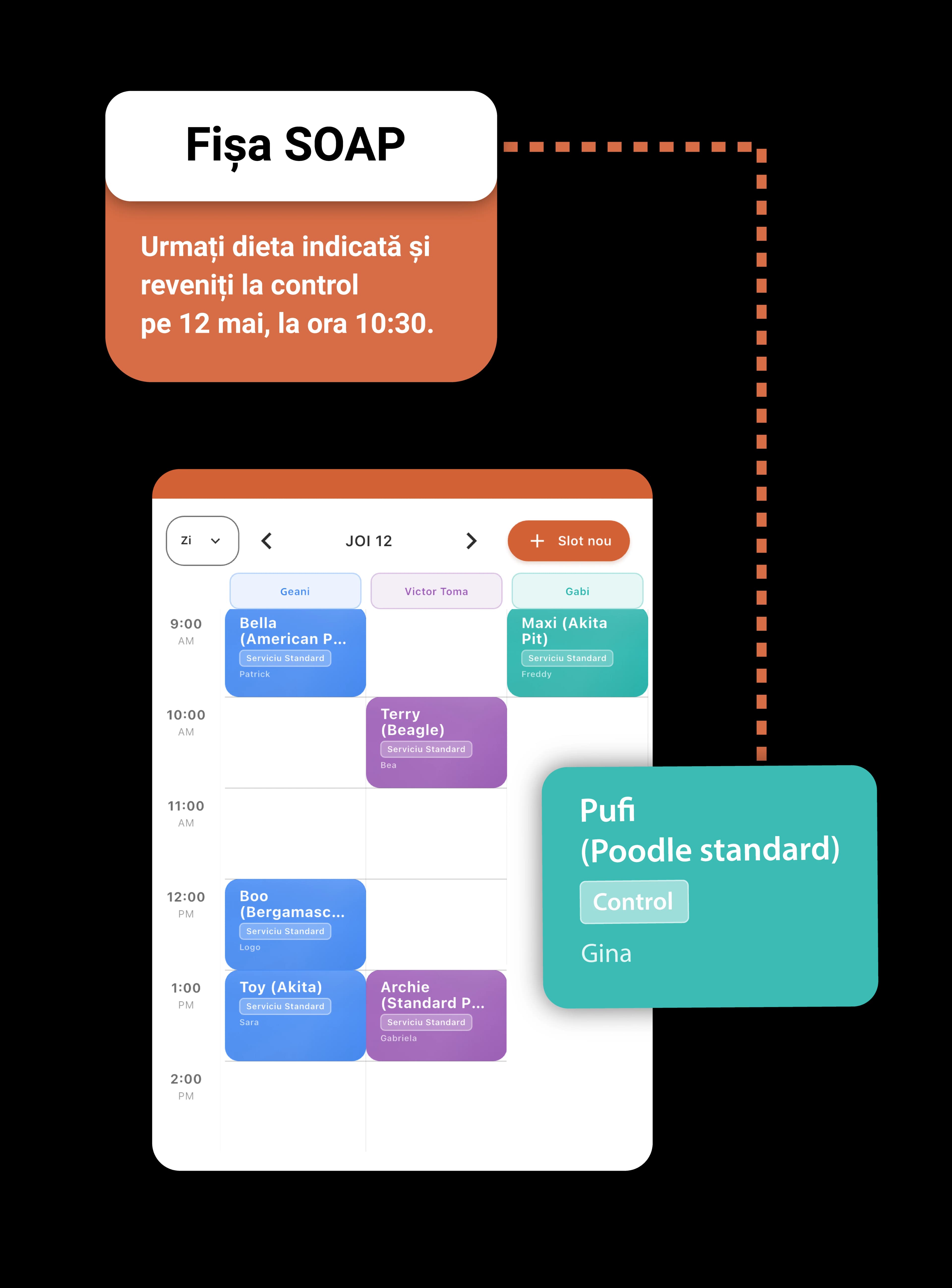 Mobile access to SOAP notes