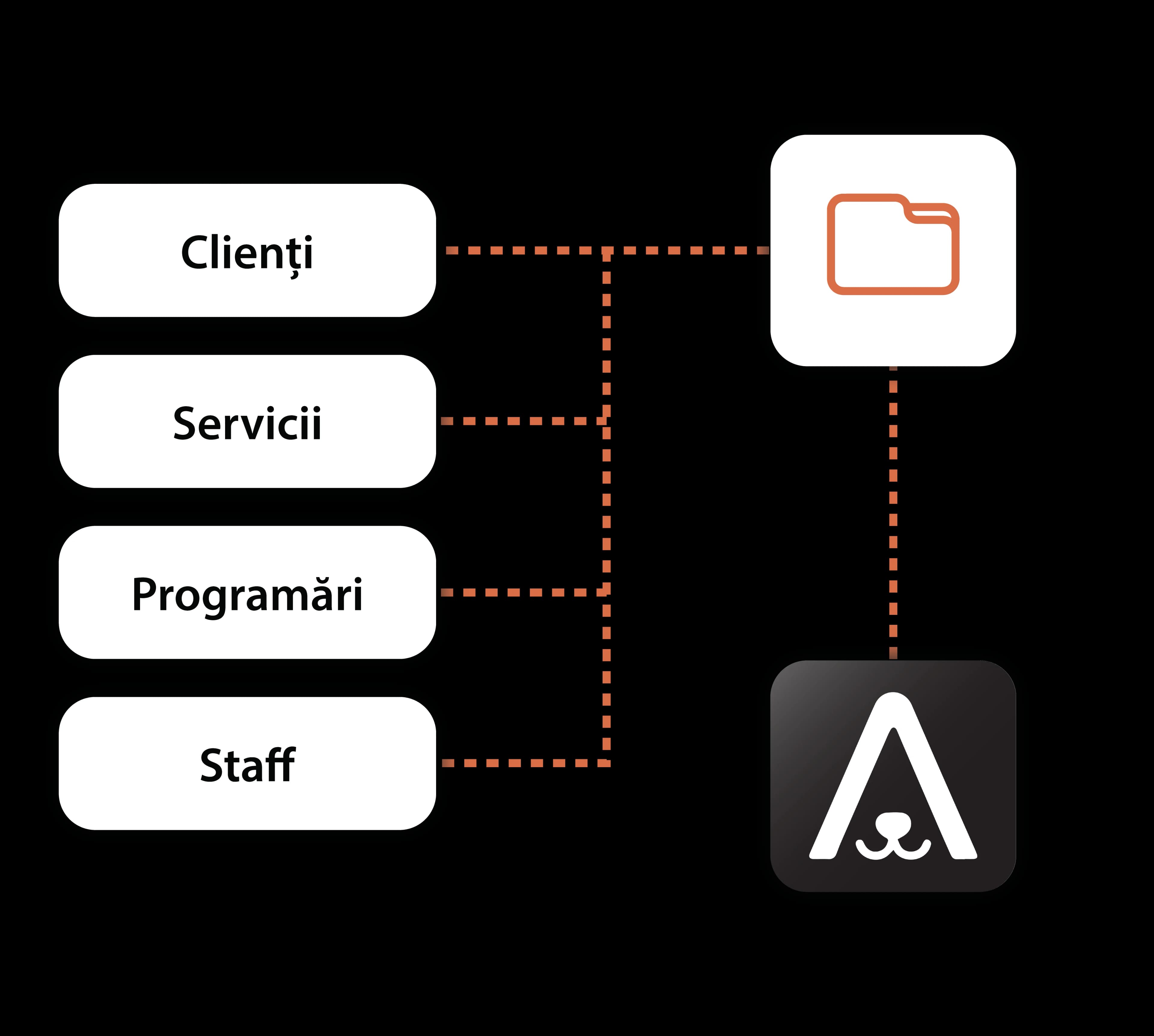 Automatic veterinary data migration