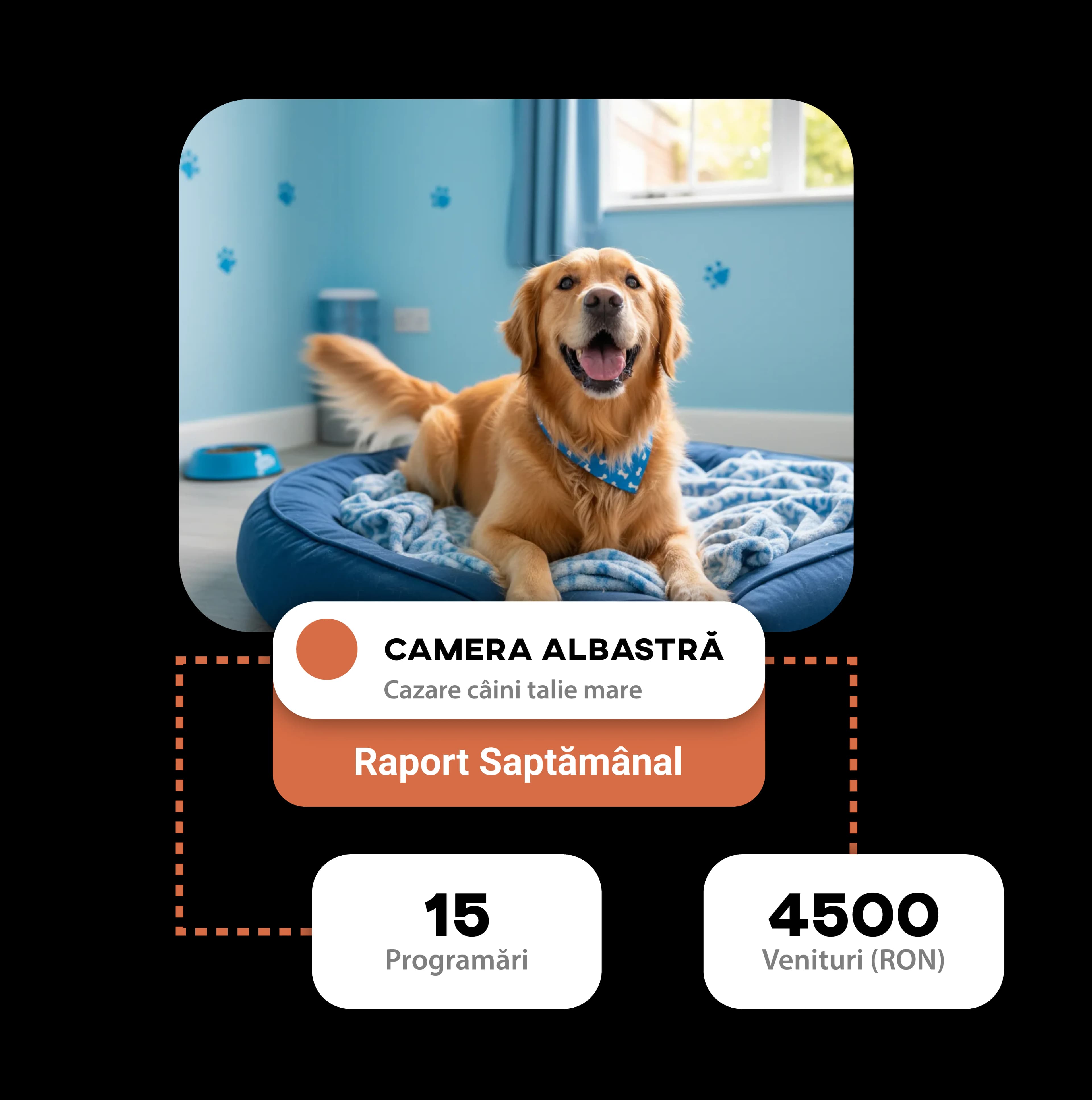 Top loyal clients at the pet hotel