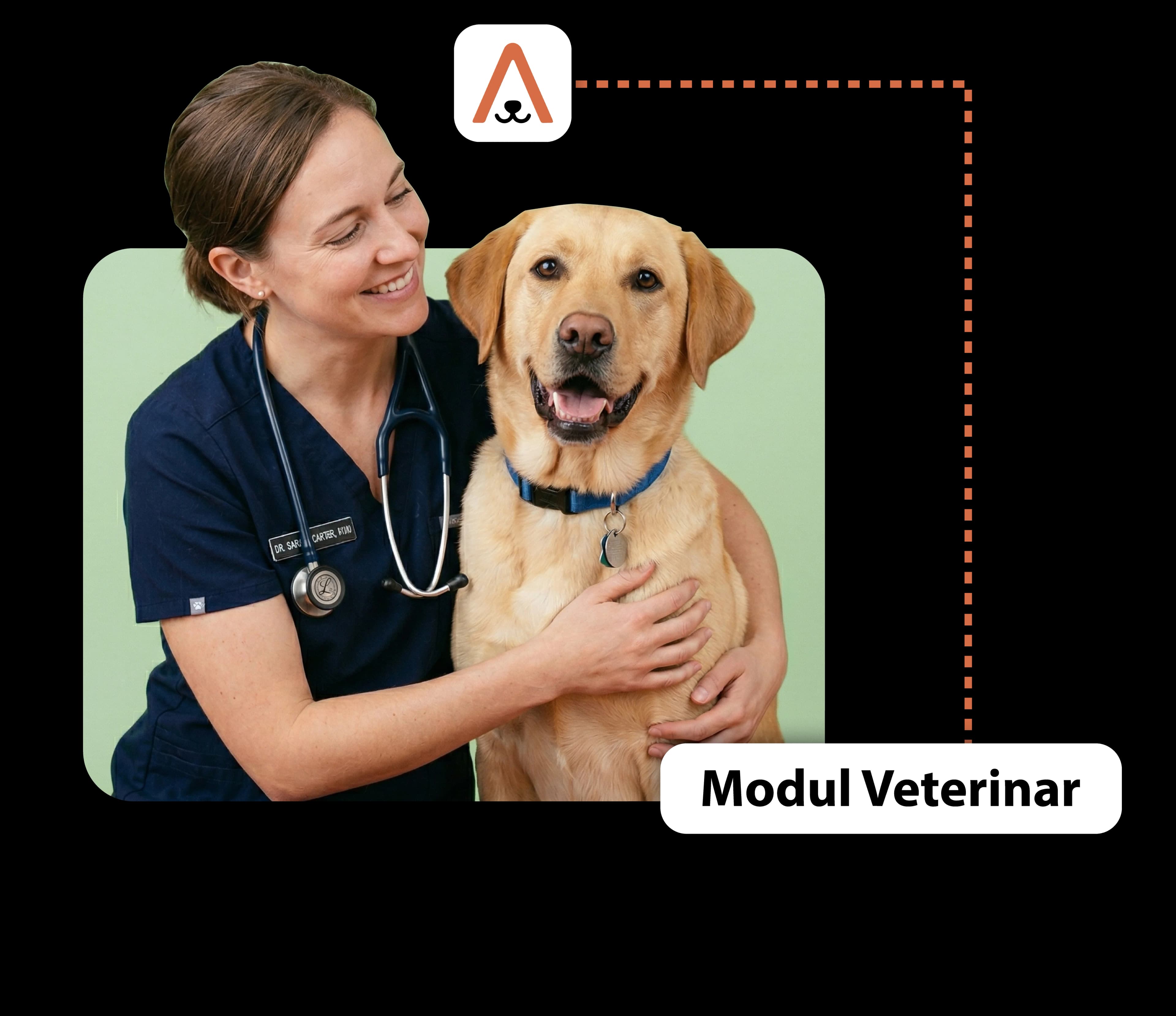 Veterinarian using Animalia Pro software
