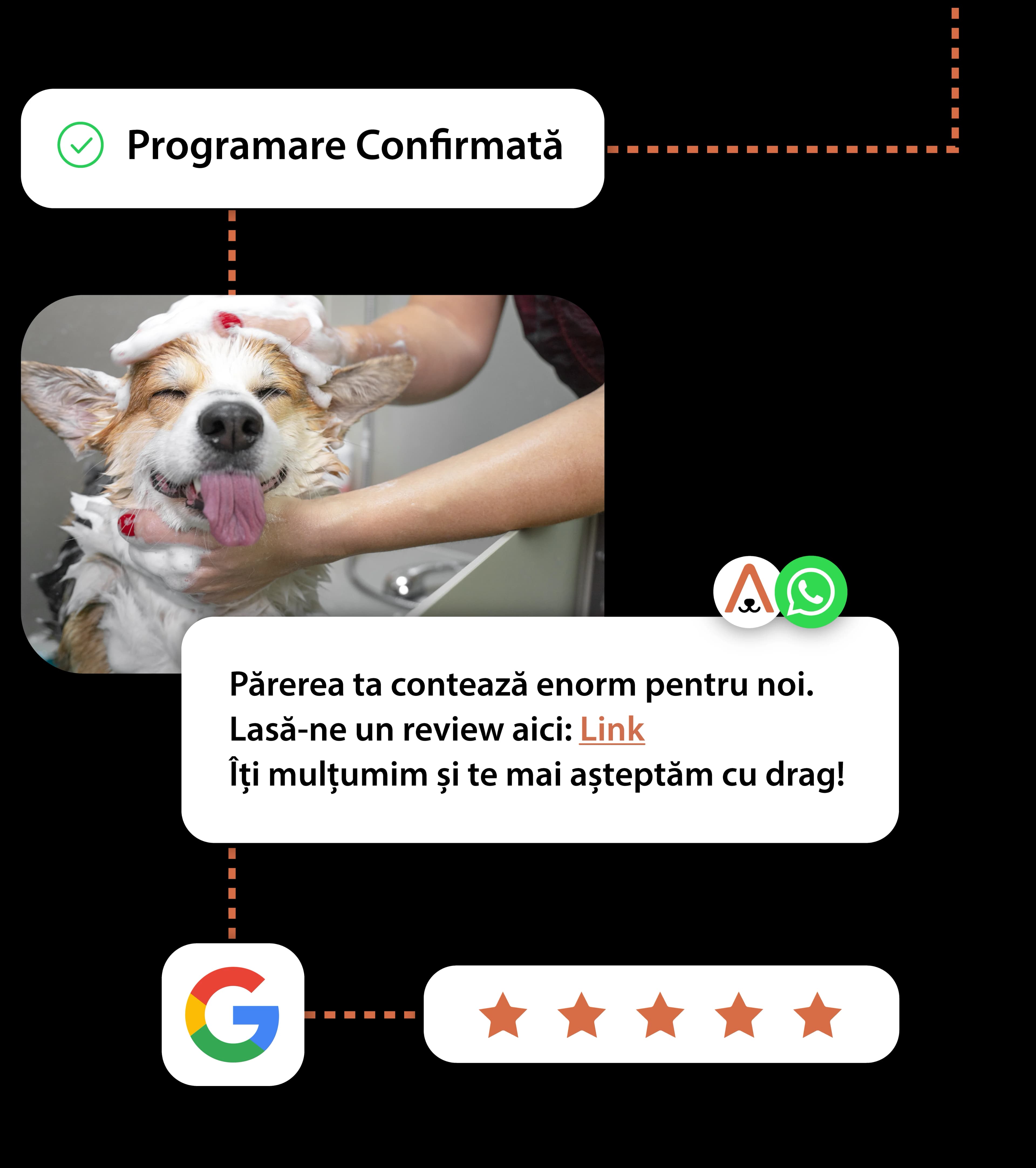 Automatic review collection