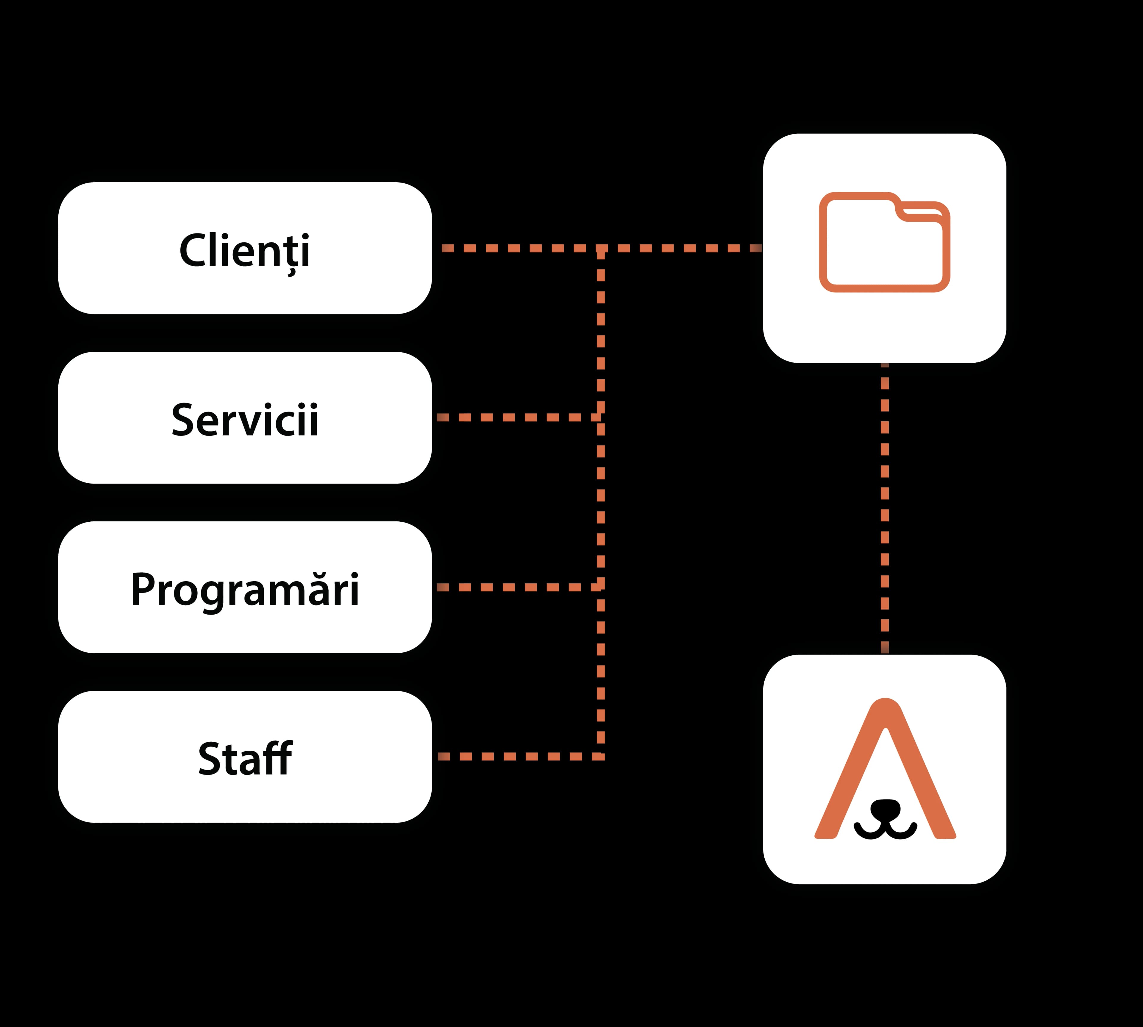 Data transfer: clients, services, appointments, staff