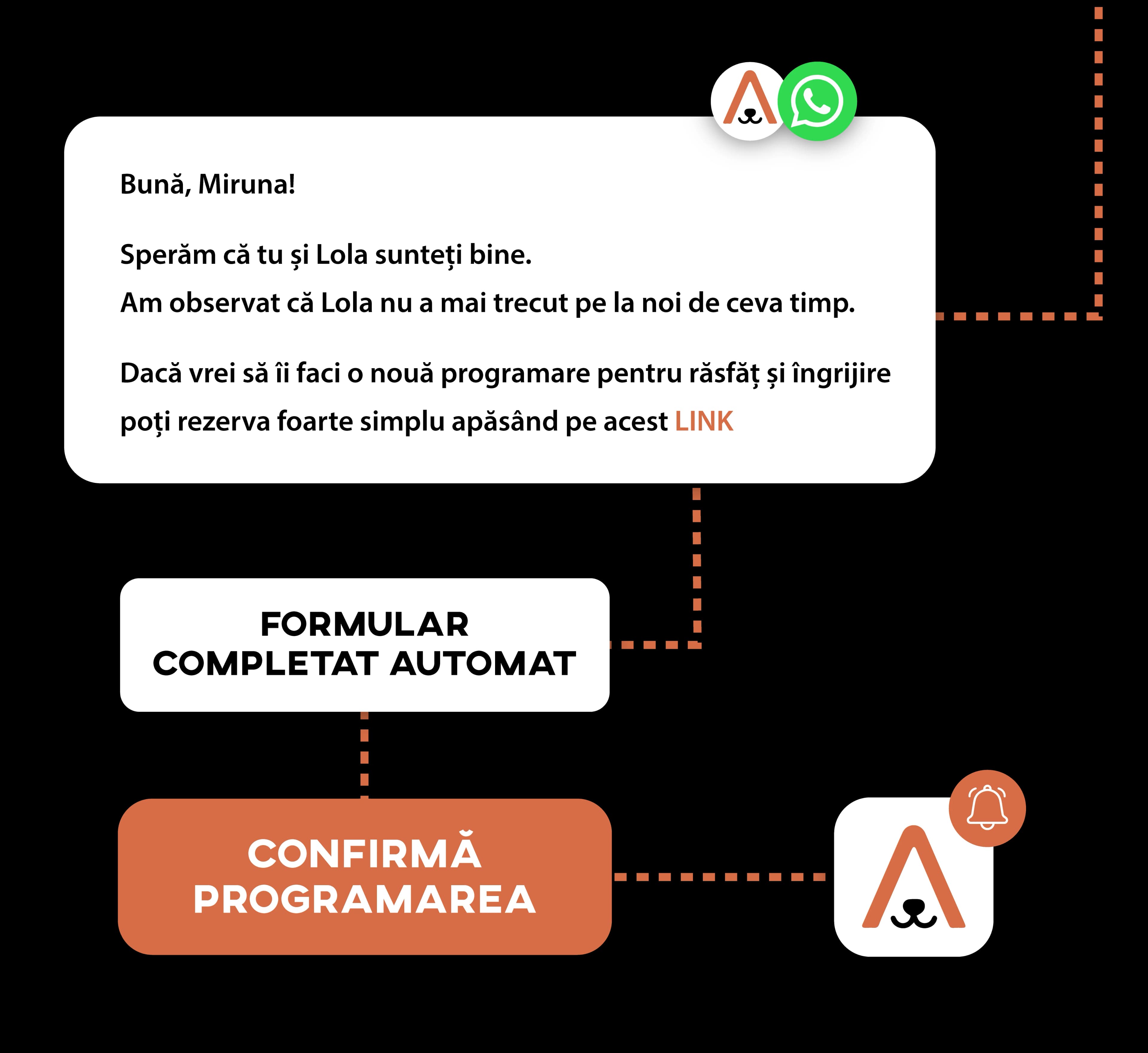 Automated WhatsApp messages