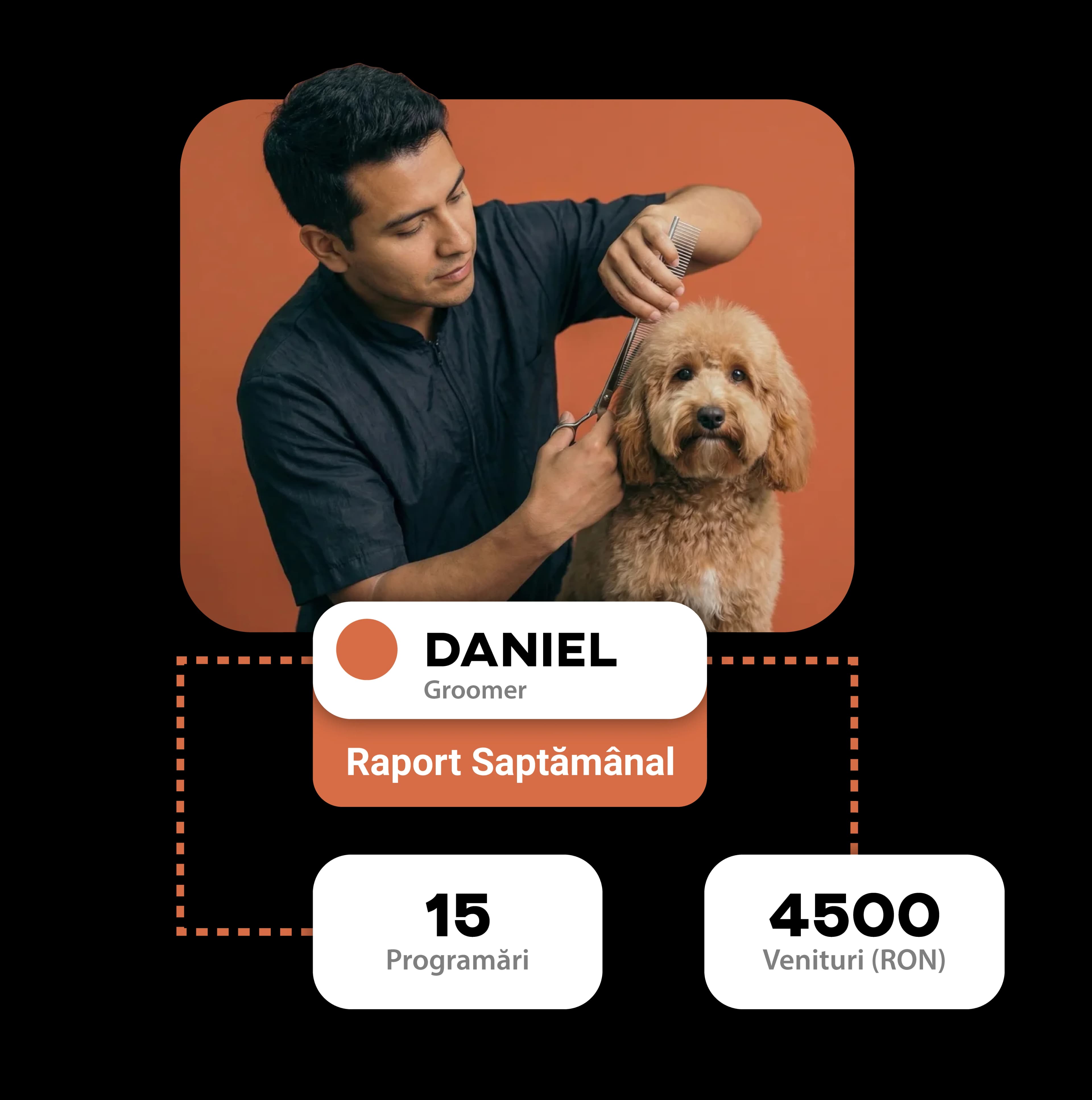 Pet size distribution and most popular breeds