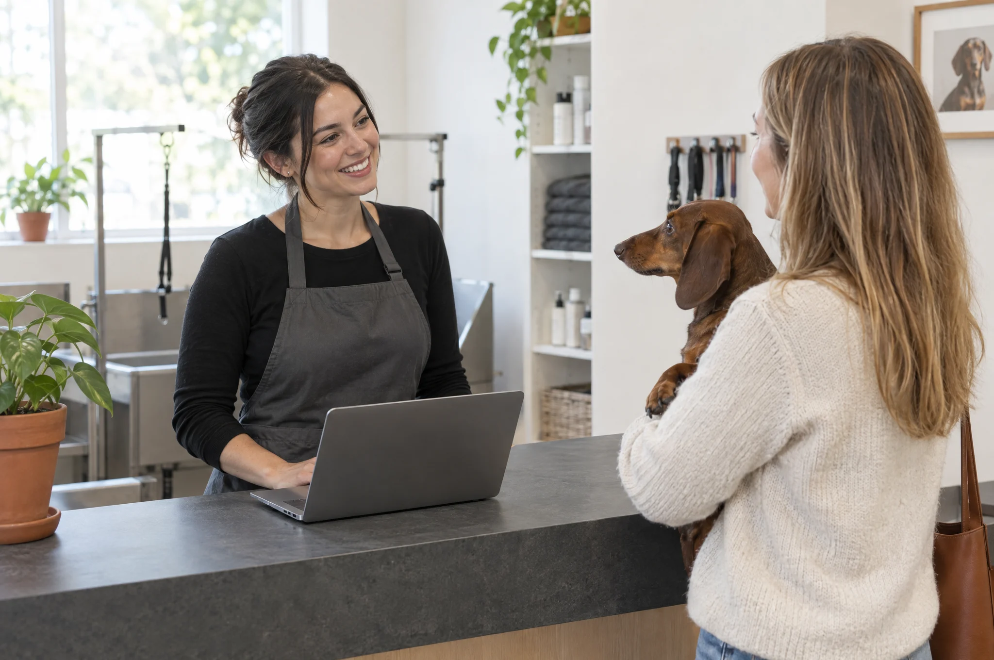 Recepția unui salon de grooming: echipa primește o clientă cu un teckel
